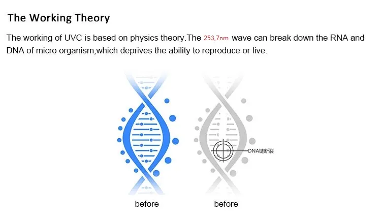 1200mm UVC Germicidal LED 254nm 253.7nm UVC Light