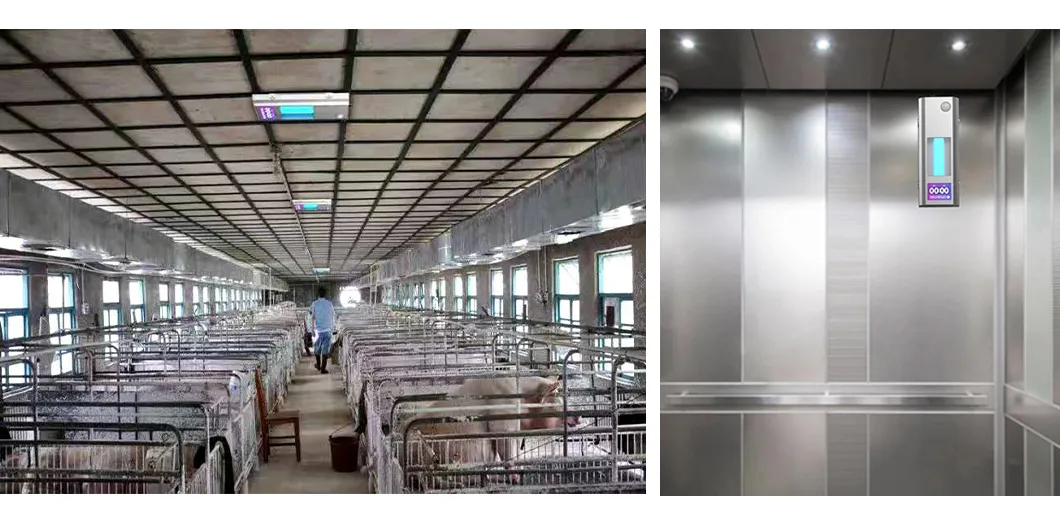 Anti-Bacteria Far UVC Germicidal Device 5W/15W/20W Far UVC Disinfection Lamp LED Sterilizer Equipment DC24V Ultraviolet LED Light