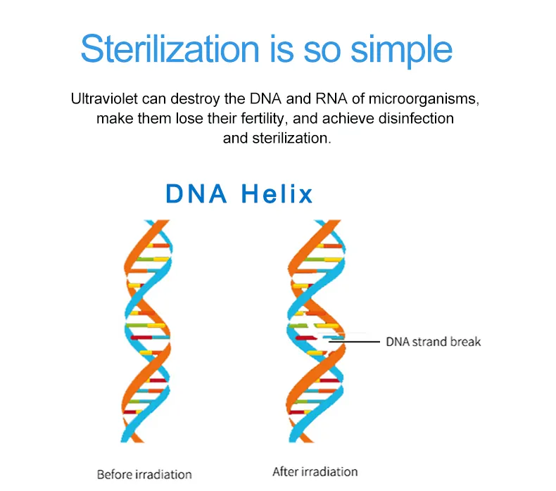 Ce Germ-Killer Harmless Portable Sterilizer Lamp Ppocket UV Sterilizer Wand