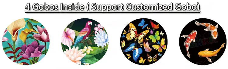 Gbr-LG200 200W IP65 Outdoor Gobo LED Logo Projector Light