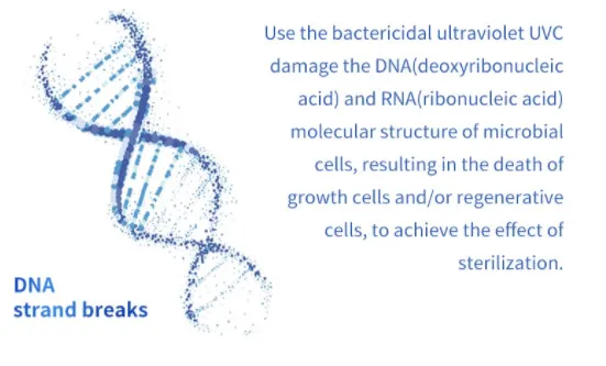 Hospital School Office Use TUV650W UV Lamp for Bacteries with Infrared Sensor 253.7nm UVC Light Trolley