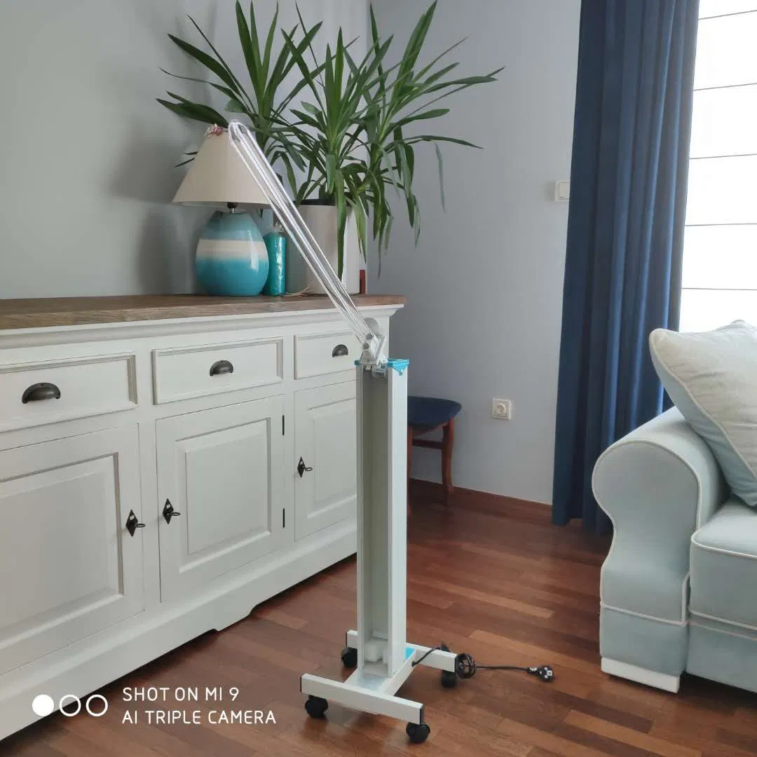 Jiangsu CE Rosh ISO Quartz Tube Small UV UVC Disinfection Sterilization Germicidal Lamp for Home