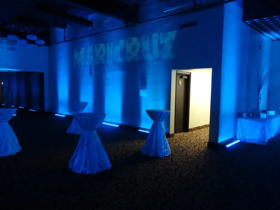 LED Stage Effect Wall Washer Light