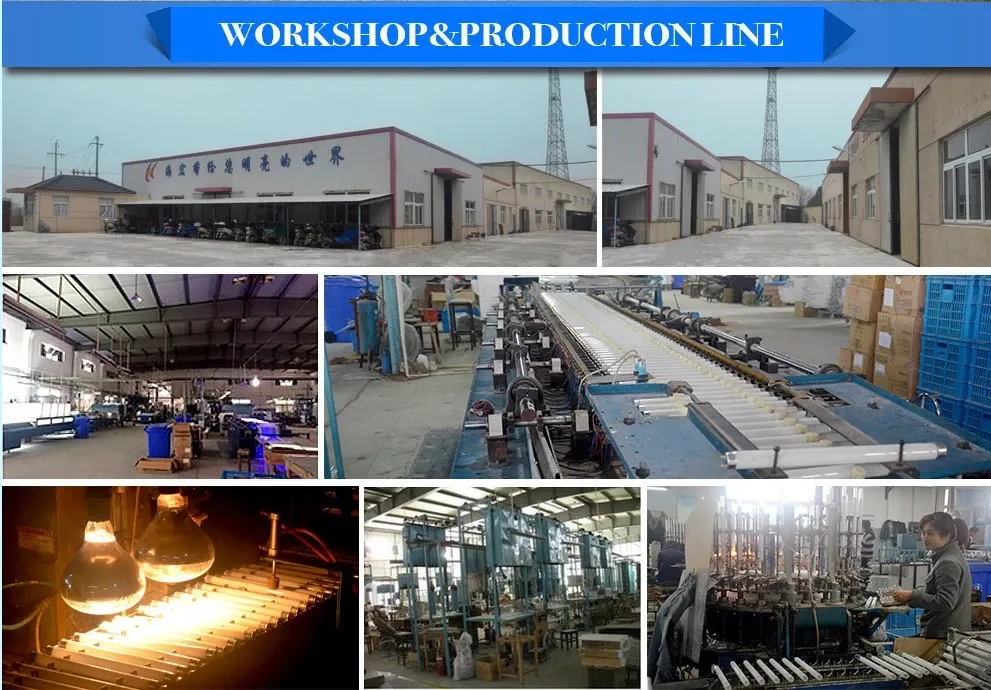 T5 6W UV Black Light Blue Lamp F6t5/BLB for Checking Money with CE Rosh (365NM-BLB-G5)