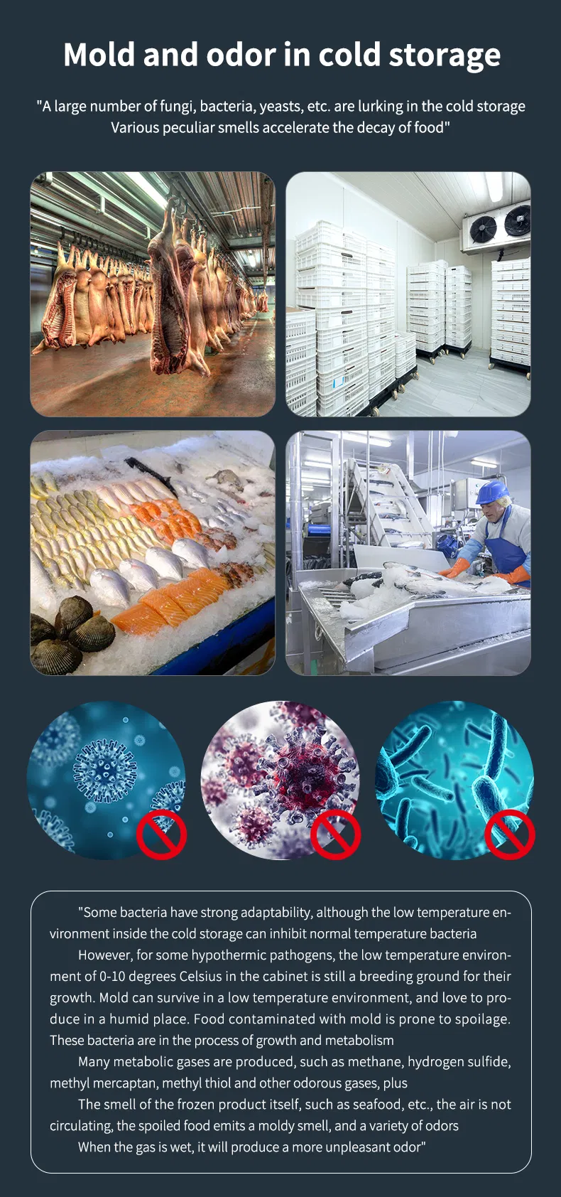 UV-C Light 254nm with Remote Control Sterilizer Lamps